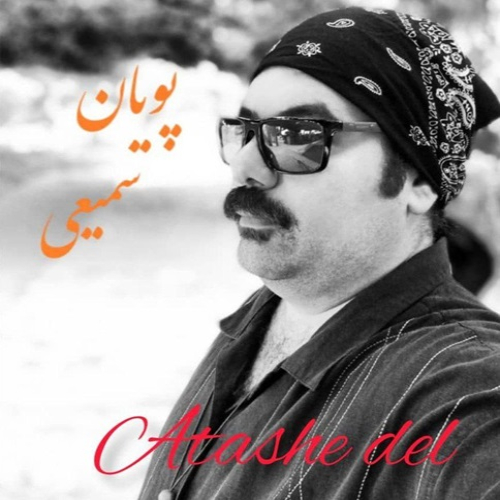 پویان سمیعی ارتش دل